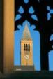 Cornell University