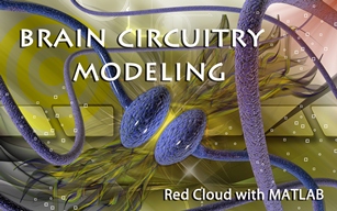 Neural Algorithms: Understanding the Computational Complexities of Brain Circuitry
